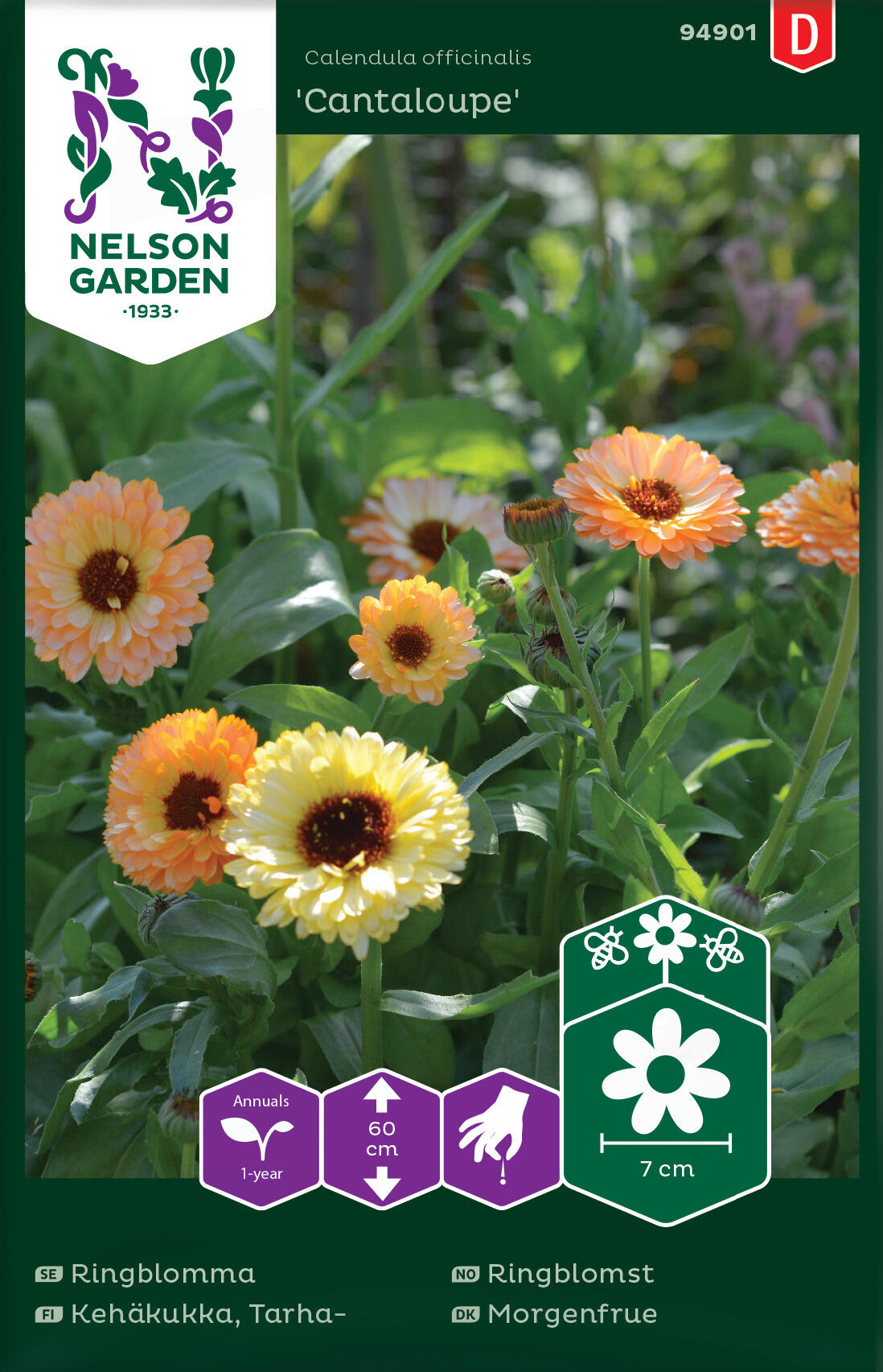 Ringblomma "Cantaloupe"